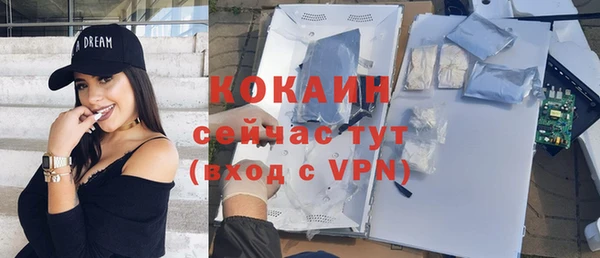 стаф Балахна