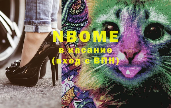 стаф Балахна