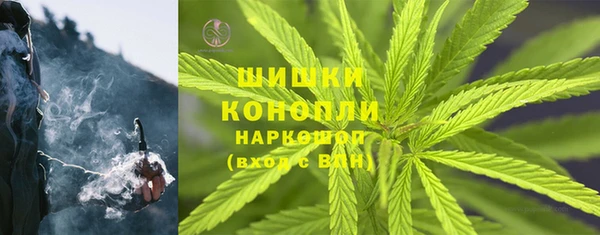 стаф Балахна
