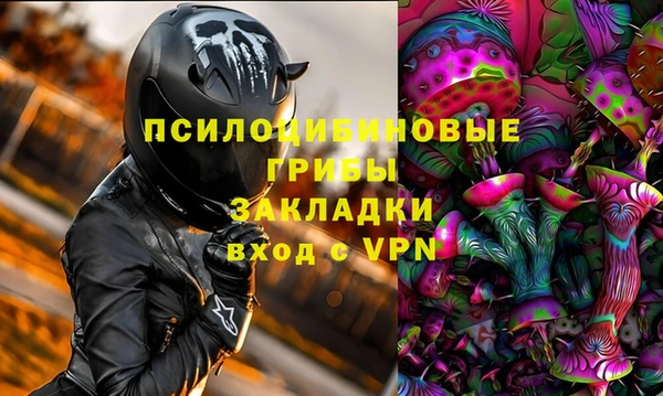 стаф Балахна