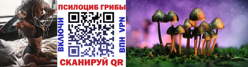 Псилоцибиновые грибы Psilocybine cubensis  Усть-Катав 